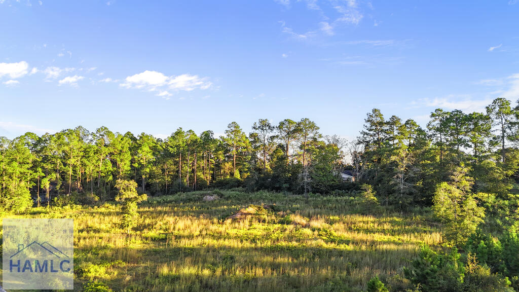 Land in Jesup 3
