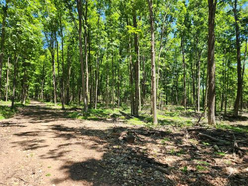 493-acres-ON Rocky Siding Ln, Crandon, WI, 54520 | Card Image
