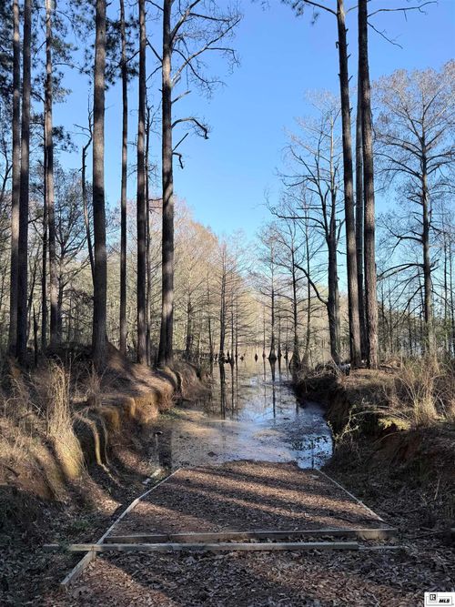 1187 Webster Bluff Rd, Farmerville, LA, 71241-8238 | Card Image