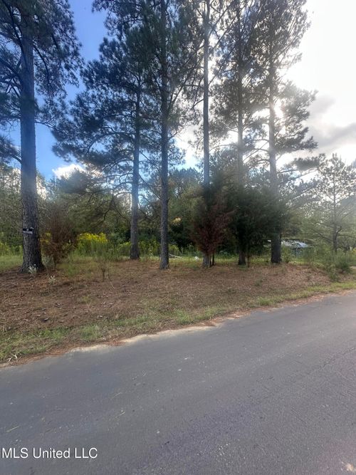 0 N Enoch Grove Rd, Florence, MS, 39073 | Card Image