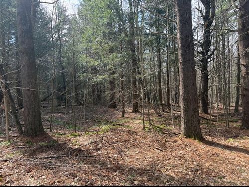 0 Island Acres Rd, Blandford, MA, 01008 | Card Image