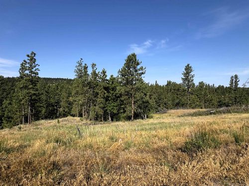 Tract 12 Black Bear Road, Hulett, WY, 82720 | Card Image