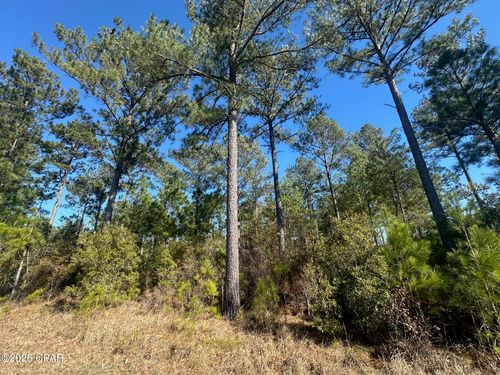 000 River Rd, Sneads, FL, 32460 | Card Image