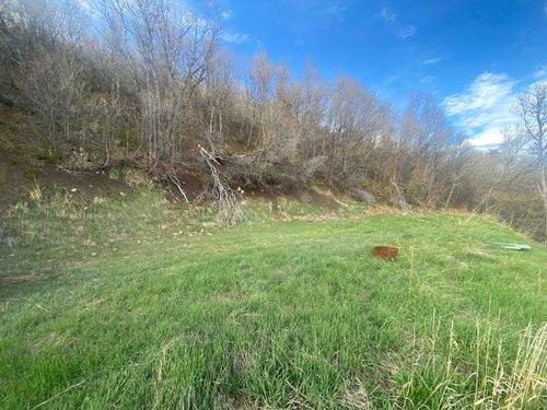 108-108 Whittemore Dr, Springville, UT, 84663 | Card Image