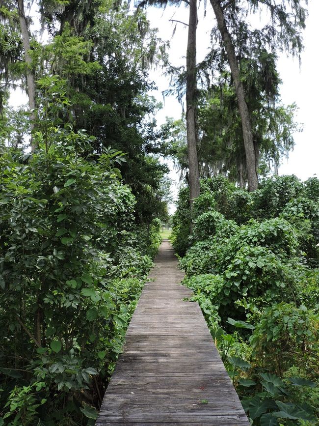 192 Commercial Ave, Home with 0 bedrooms, 0 bathrooms and null parking in East Palatka FL | Image 8