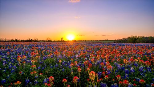 5107 Bovista Ranch Rd, Navasota, TX, 77868-6043 | Card Image