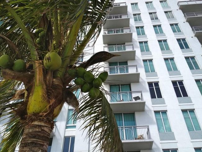 UNIT-508 - 300 S Australian Ave, Condo with 1 bedrooms, 1 bathrooms and null parking in West Palm Beach FL | Image 17