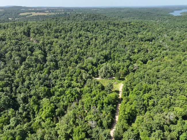 dji_fly_20250620_103526_0034_17504330783 | Image 14