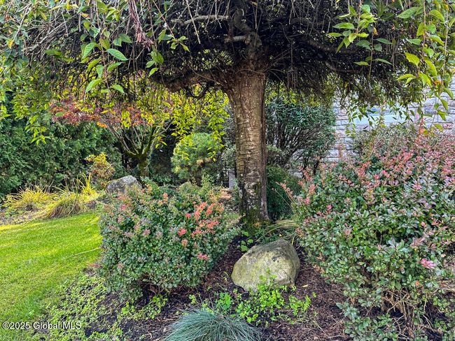 Landscaped! | Image 86