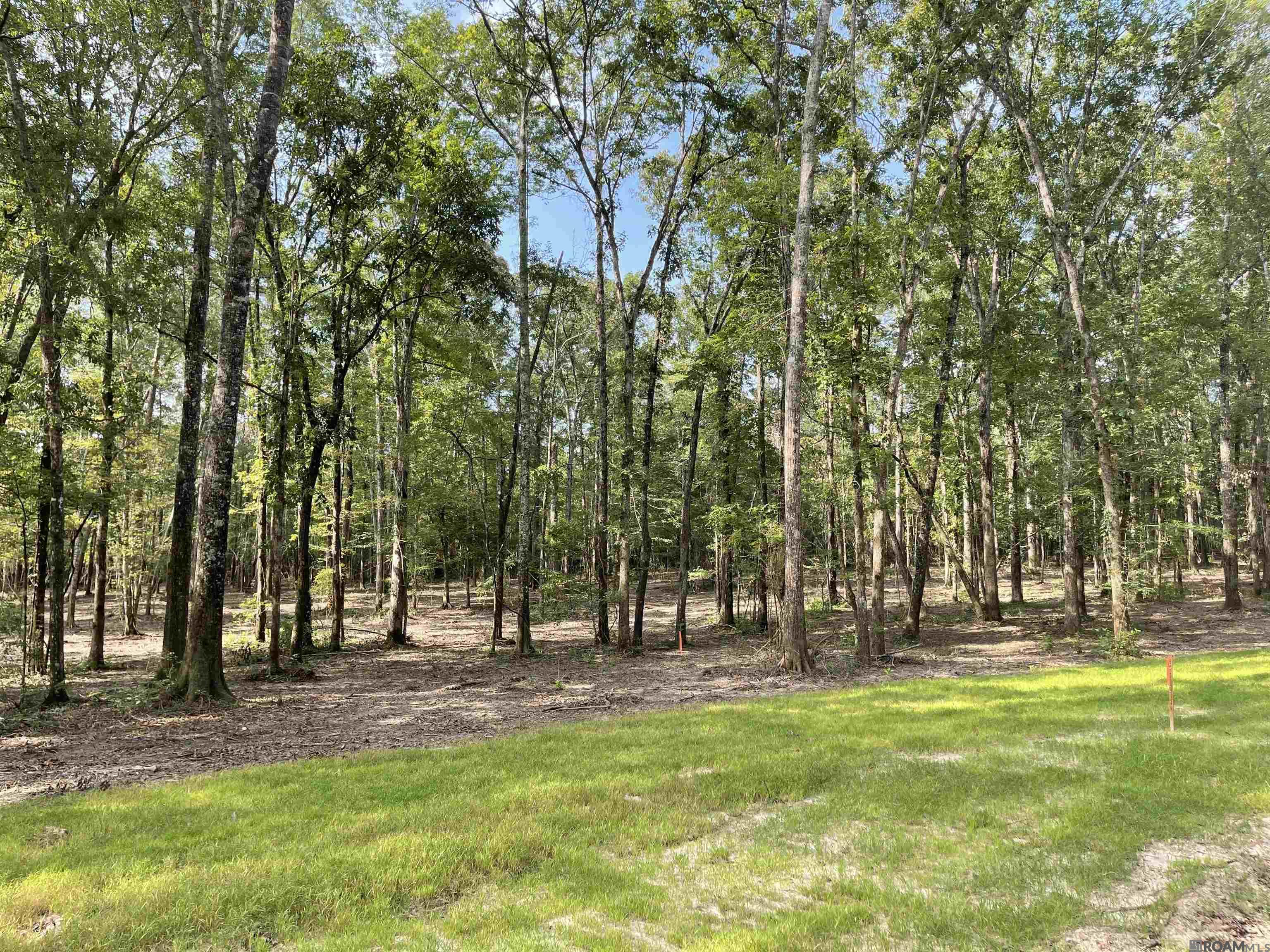 Land in Clinton 2