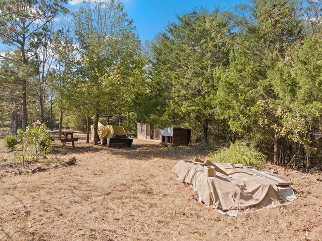 View of yard | Image 26