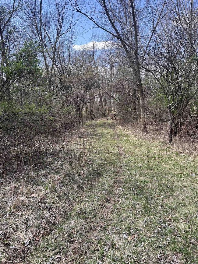 71 +/- Acres Scenic View Road, Home with 0 bedrooms, 0 bathrooms and null parking in Seneca WI | Image 23