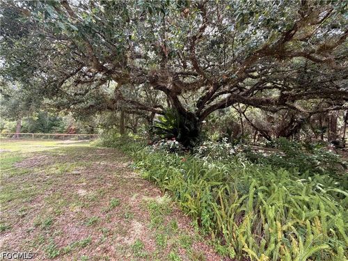 18251 Persimmon Ridge Rd, Alva, FL, 33920-3465 | Card Image