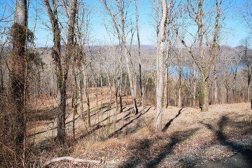 411 Maury Ln, Smithville, TN, 37166-2991 | Card Image