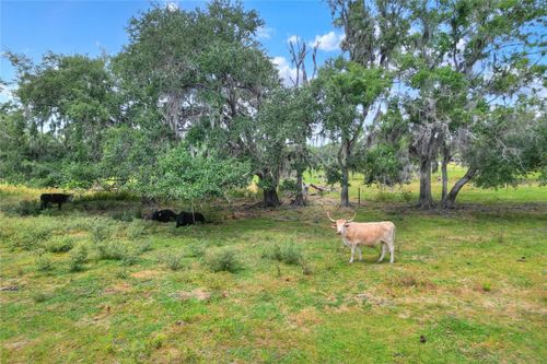 0 Plant City-Picnic Rd, LITHIA, FL, 33547 | Card Image