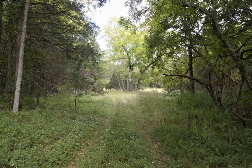 Tract 3b Route 4, Squires, MO, 65755 | Card Image