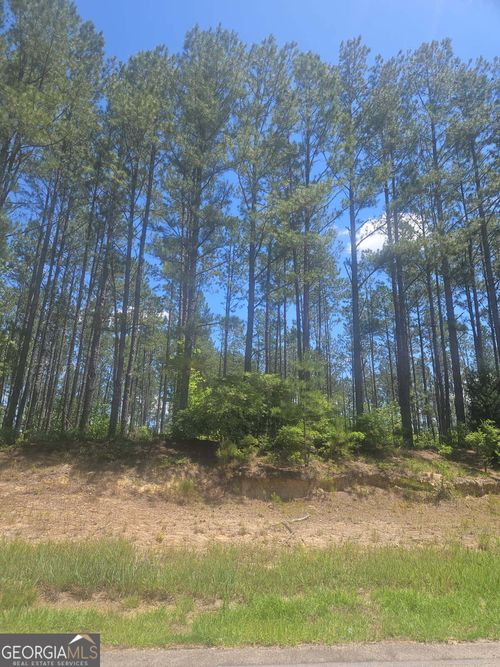 LOT #7 Shoals Rd, Mitchell, GA, 30820-7112 | Card Image