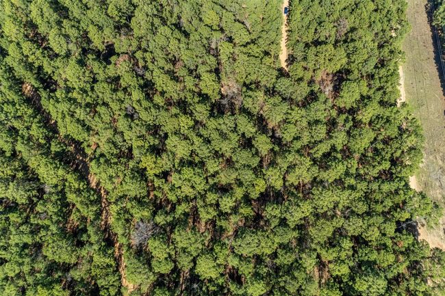 Aerial View Lot 95 and 96 Hidden Hollow Ct, Pine Forest Bastrop | Image 9