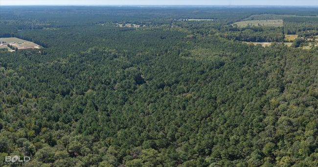 Bird's eye view | Image 10