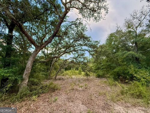 6005 & 6007 Tree Top Ln, Blackshear, GA, 31516-4748 | Card Image