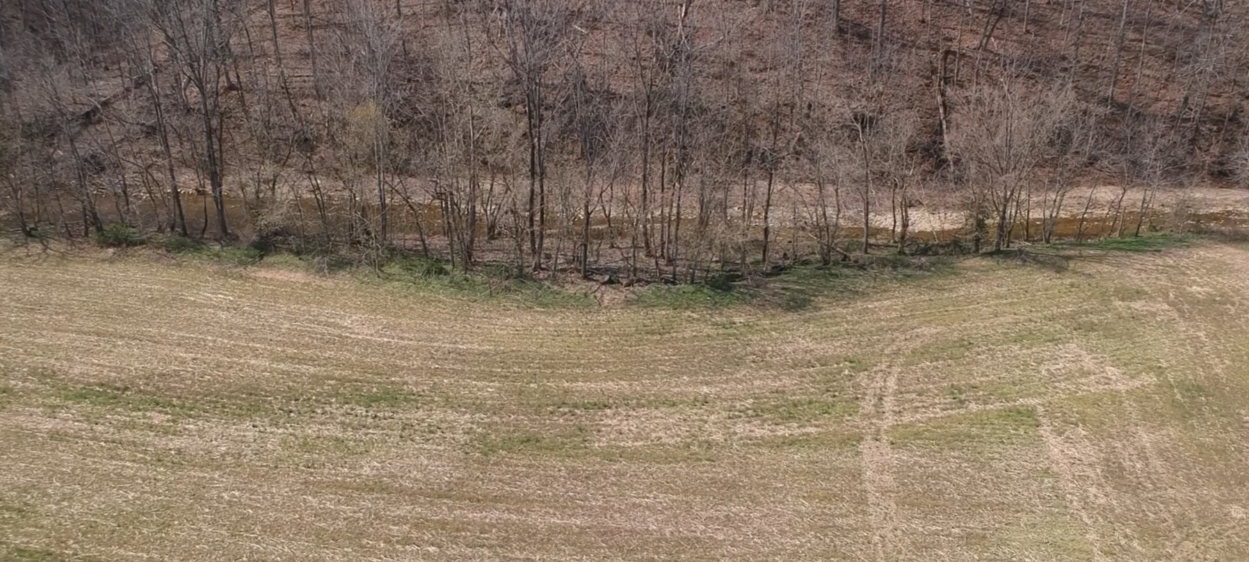 Land in Westmoreland 3