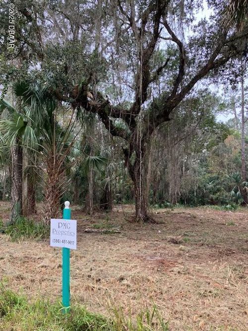 0 Shell Harbor Rd, PIERSON, FL, 32180 | Card Image