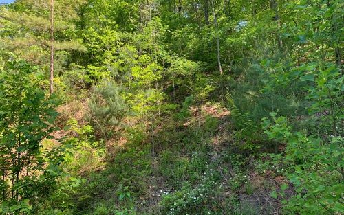 Lot 4A Trillium Heights Cir, Brasstown, NC, 28902-0209 | Card Image