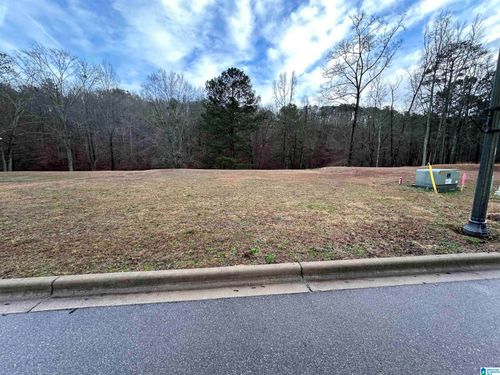 232-4315 Cahaba Bnd, Trussville, AL, 35173-2460 | Card Image