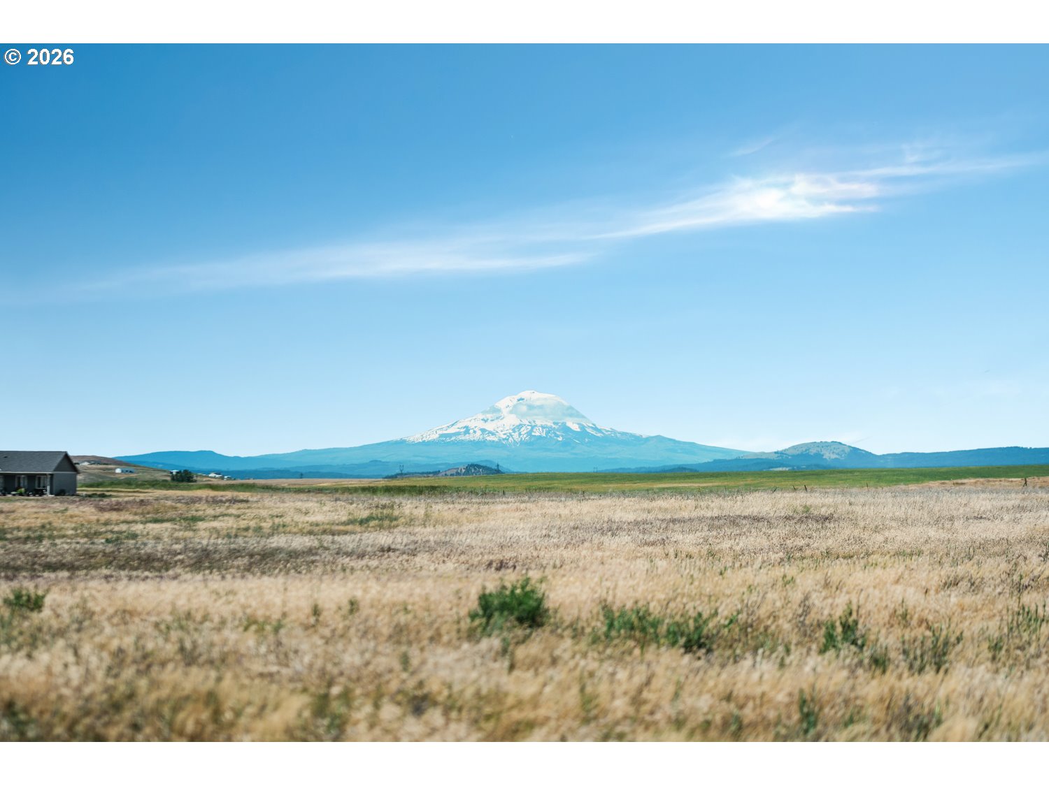 Land in Goldendale 4