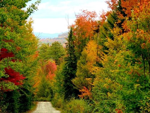 102 Harriman Rd, Dalton, NH, 03598-5611 | Card Image