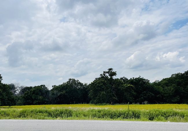 1037 Gonzollas Rd, Home with 0 bedrooms, 0 bathrooms and null parking in Springtown TX | Image 18