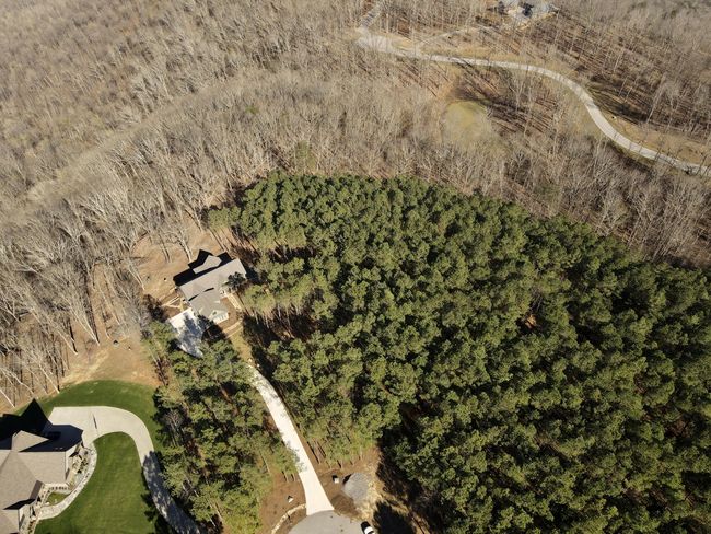80 High Point Ln, Home with 0 bedrooms, 0 bathrooms and null parking in Jasper TN | Image 140