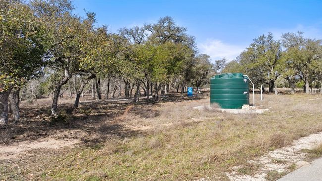 View of yard | Image 14