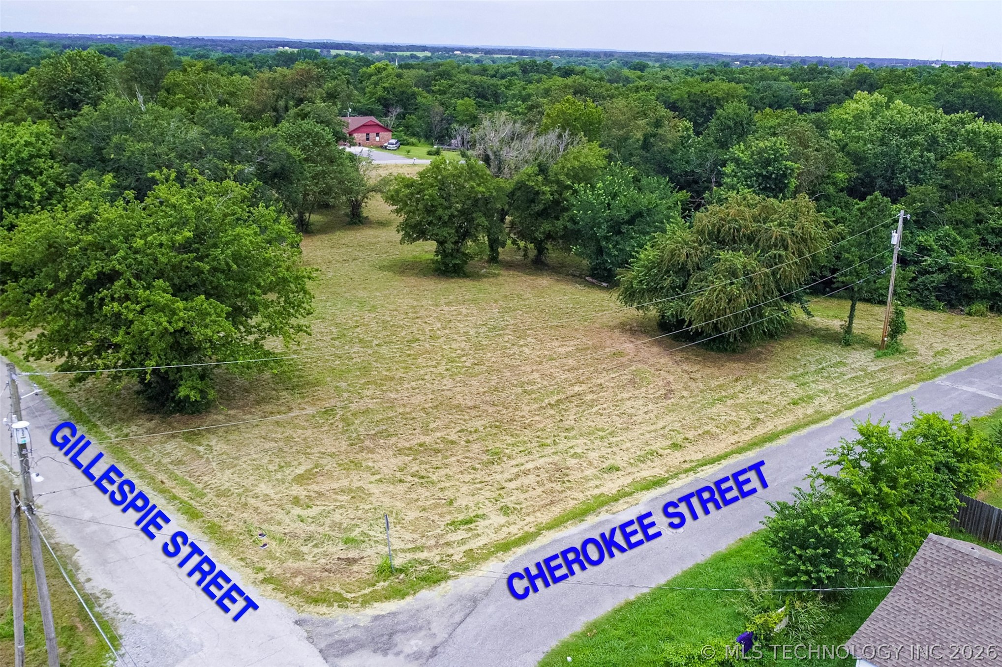 Land in Locust Grove 5