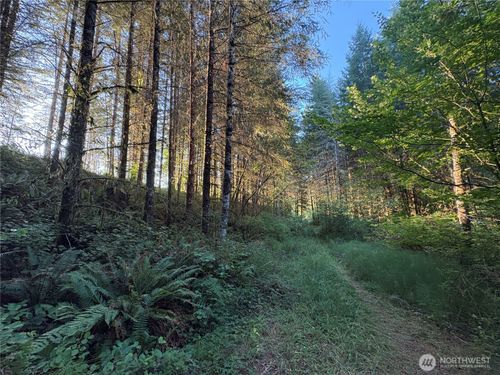 0 NKA Frank Smith Rd, Toutle, WA, 98649 | Card Image