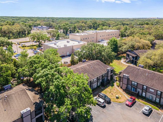 APT-101 - 4035 Angel Oak Ct, Condo with 2 bedrooms, 2 bathrooms and null parking in TAMPA FL | Image 44