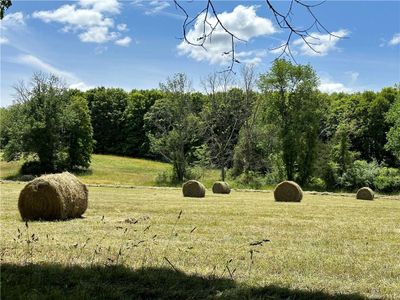 View of yard | Image 3