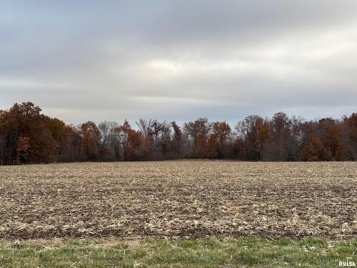 000A Alma Hatchery Rd, Odin, IL, 62870 | Card Image