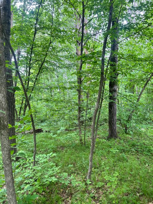 TBDxx Flintstone Road, Cushing, MN, 56443 | Card Image