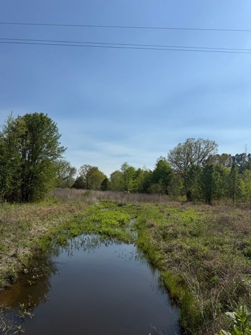 185 Scott Orchard Rd, Taft, TN, 38488-5066 | Card Image