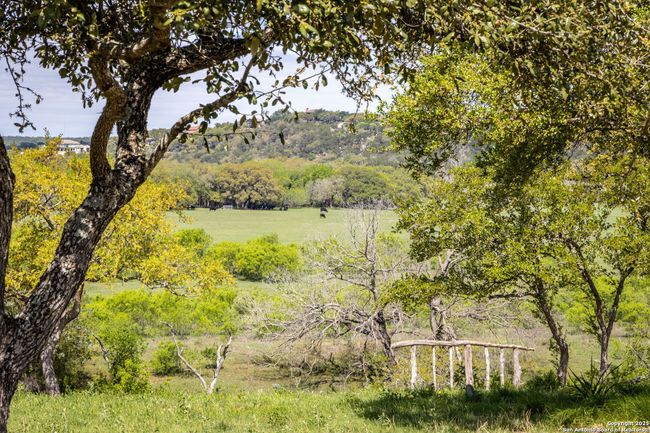 371 River Cliff Pl, House other with 4 bedrooms, 4 bathrooms and null parking in Spring Branch TX | Image 37