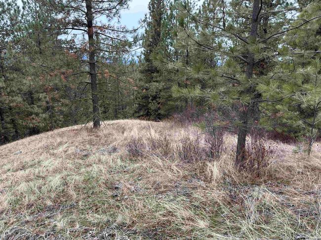3312X Daisy Mine Rd, Home with 0 bedrooms, 0 bathrooms and null parking in Rice WA | Image 8