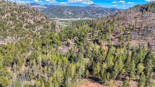 56 Fir Ln, Florissant, CO, 80816-8869 | Card Image