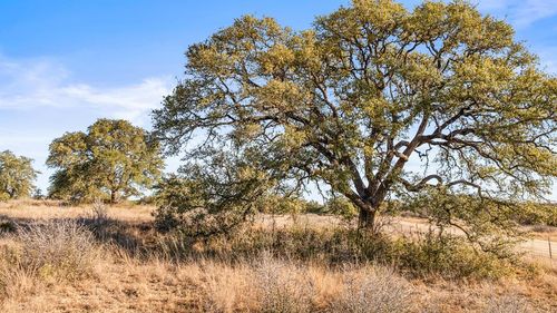 17-1422-17 Ranch Road 2766, Johnson City, TX, 78636 | Card Image