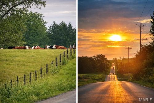 1235 Castle Green Dr, Waterloo, IL, 62298-3550 | Card Image