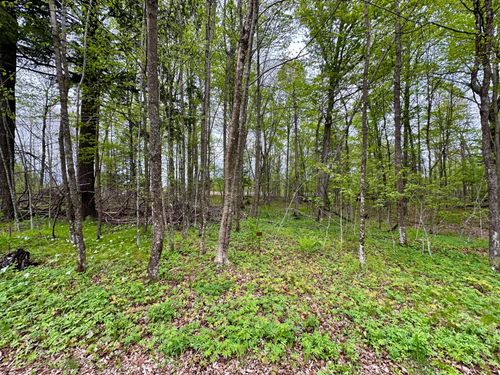Lot 36 Fairway Dr, Pickerel, WI, 54465 | Card Image