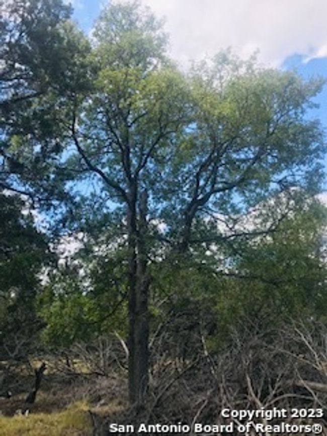 26 Mustang Crossing Dr, Home with 0 bedrooms, 0 bathrooms and null parking in Pipe Creek TX | Image 5