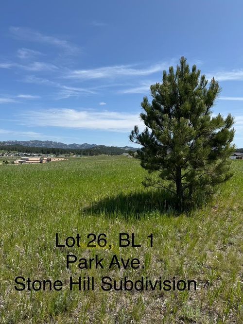 Lot 26 Park Avenue, Custer, SD, 57730 | Card Image