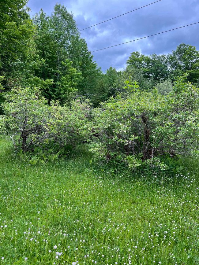 1680 W Hill Dr, Home with 0 bedrooms, 0 bathrooms and null parking in Readsboro VT | Image 4