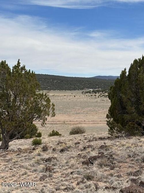 38 County Road 8250, Concho, AZ, 85924 | Card Image